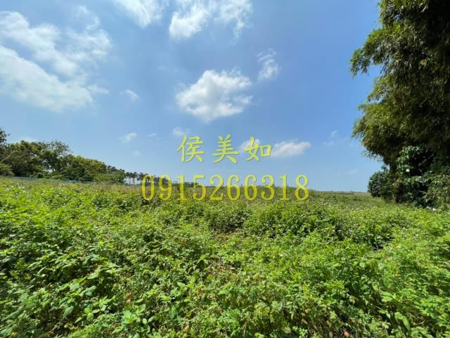 六腳農地-6