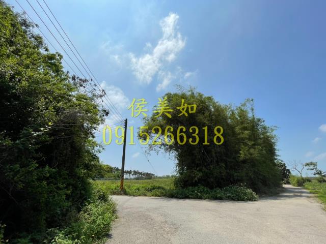 六腳農地-7