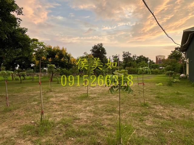 東區農地-10
