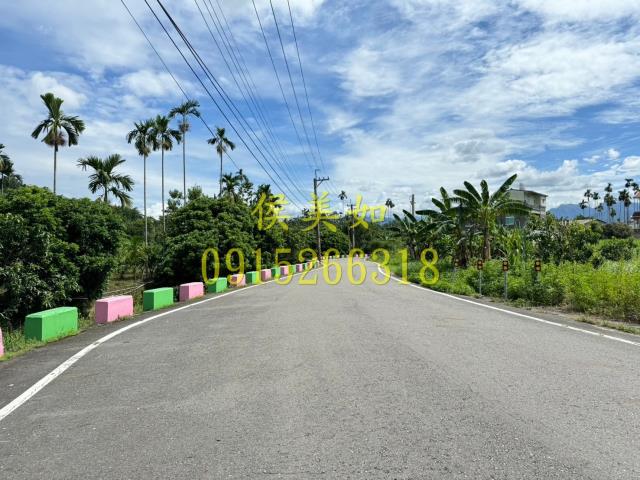 嘉義中埔農地-1