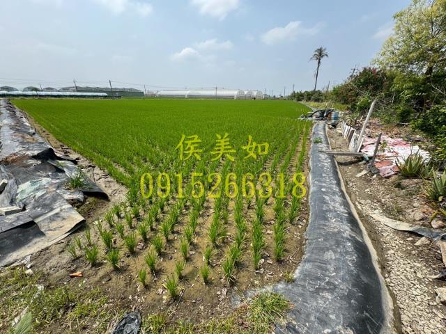 太保農地-4