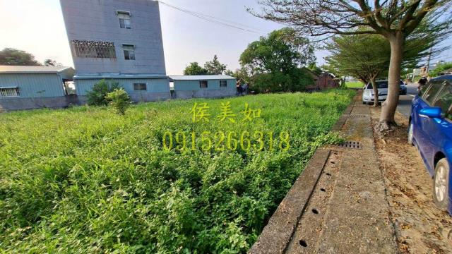 嘉義民雄農地-3