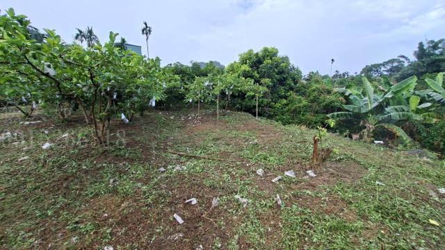 嘉義梅山農地-5